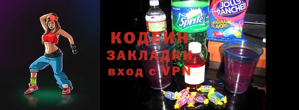 хмурый Алзамай