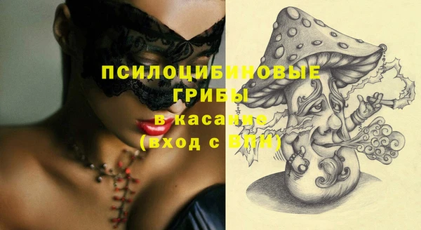 хмурый Алзамай