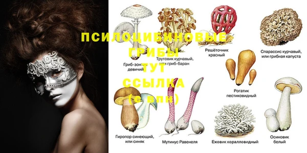 хмурый Алзамай