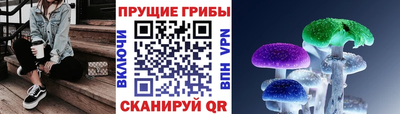 Псилоцибиновые грибы ЛСД Талица